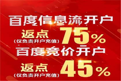 百度SEO推广公司成功案例：助力企业实现流量暴增